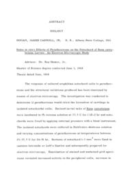 Some in vitro effects of parathormone on the notochord of rana cates-beiana larvae: an electron microscopic study, 1968