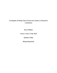 Investigation of mating types in parasexual amoeba, Cochliopodium (Amoebozoa), 2016