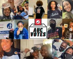 AUC Votes, November 4, 2020