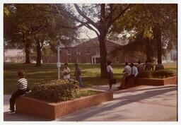 Campus Scene, 1984