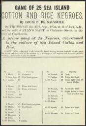 Charleston Cotton and Rice Negroes Auction Flyer, 1852