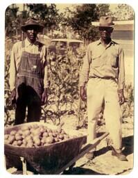 Men with a Wheelbarrow, circa 1965