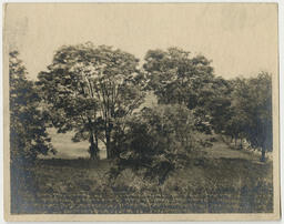 Atlanta University Campus Grounds, circa 1920