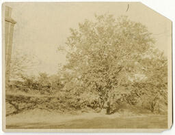 Atlanta University Campus Grounds, circa 1920