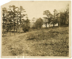 Atlanta University Campus Grounds, circa 1920