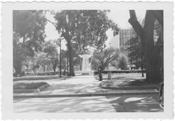 Dushone Park, 1969