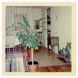 Boston Apartment of Beth Chandler, circa 1970