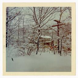 Boston Apartment of Beth Chandler, circa 1970