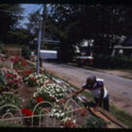 A woman tends her garden on Bisbee street. Text from slide presentation: Today reminders of the past are evident everywhere . . . . . in the cottages clustered along Bisbee street, ...