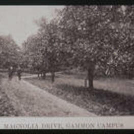 Two people walk on Magnolia drive. Text from slide presentation: and Magnolia Lane - a lovely tree-lined avenue...