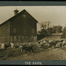Image of the campus barn and livestock.