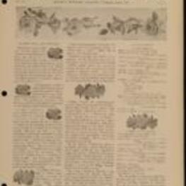 Spelman Messenger May 1918 vol. 34 no. 8