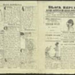 A newsletter edited by Pluto Jumbo containing satirical, mock notices and advertisements and illustrations related to abolitionists, slaves, and others. H.W. Beecher's name is mentioned on the front page of the newsletter. 4 pages.