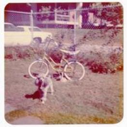 Pet dog in front of a bicycle. Written on verso: Fricque in the [?]spring of the registered French Gigi a gift from Ted + Beth to her parents when they returned from Honeymoon in [?] to begin home making in the Massachusetts area. Fricque &amp; Beth Angela pet is still alive in 1980 + recognized me when I visit.