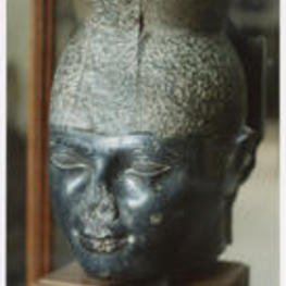 The head of a sculpture in a display case.