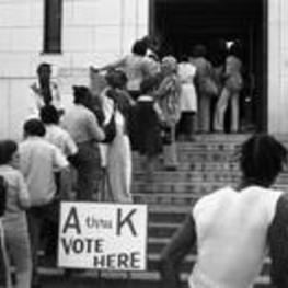 A group of people stand in line to vote.
