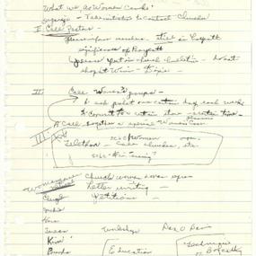 Planning Notes Regarding the Winn-Dixie Boycotts, circa 1985