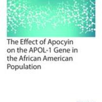 The Effect of Apocyin on the APOL-1 Gene in the African American Population