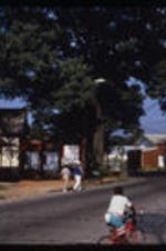 View of a street in Reynoldstown. Text from slide presentation: And part of that revitalization effort includes a renewed interest in the history of Reynoldstown.