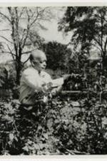 View of Dr. Albert E. Manley Gardening 1969. Written in verso: Dr. Albert E. Manley Gardening 1969.
