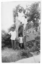 A woman seated in a tree with two boys below. Possibly in India. Written on verso: Taken in June 1958. Yours truly with the 2 sons of our (?). There names are (L to R) Pelrvais and Jared. I am wearing salwar chemise, duputta. Sometimes I wear frocks, sometimes saris.