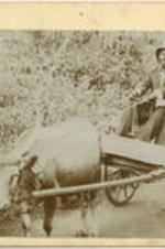 Dr. W. G. Alston and his wife riding in a carriage to hold a meeting in Tubmantown. Written on recto: Dr. W.G. Alston and Wife on way to Tubmantow[n?] Liberia, Africa, to hold Quarterly meeting. Written on verso: The South Western Christian Advocate; Bishop Allen.