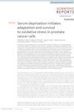 Serum Deprivation Initiates Adaptation and Survival to Oxidative Stress in Prostate Cancer Cells