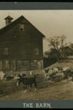 Image of the campus barn and livestock.