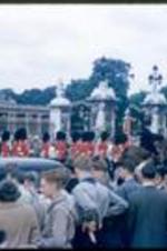 Queen's Guard passes Buckingham Palace gates with car and horse procession, with palace gates in the background.