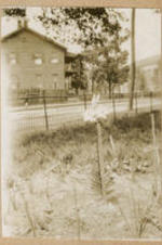 Leonard Street Orphan Home yard with staked flowers and a view of a house across the street.