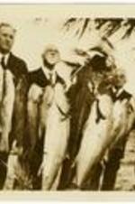 A group of men pose with fish hanging on a line. Written on verso: compliments of Mrs. R.E. Hightower.