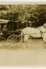 View of Sophia B. Packard and Harriet E. Giles in a carriage with horse named Billie Gray. Written on recto: Miss Packard, Miss Giles, and "Billie Gray." Written on verso: Miss Giles, Miss Packard, and Billie Gray.