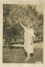 Elizabeth McDuffie reaches for a fruit tree. Written on verso: Hyde Park.