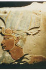 Written on verso: Del el Beh[?], Thutmosis III, Atef Crown. The profile of a figure wearing traditional crown worn by pharaohs.