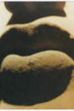 A close up of a sculpture's lips.