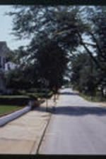 A view of Gammon Avenue. Text from slide presentation: Gammon Avenue led to the campus and the homes there reflect the importance of that street.