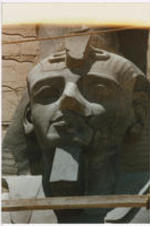 The head of a statue wearing an Egyptian headdress.