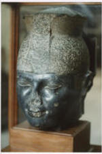 The head of a sculpture in a display case.