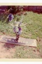 Closer view of gravesite of Gladstone Chandler with flowers on top and pet dog in the distance. Written on verso: Gigi waits at his master's grave while I placed new flowers daily.